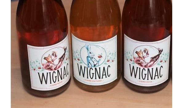 5 flessen cider WIGNAC